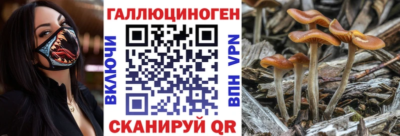 сколько стоит  Георгиевск  Галлюциногенные грибы мицелий 