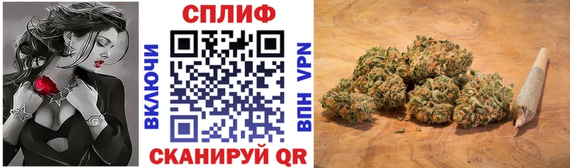 купить   Георгиевск  Марихуана VHQ 